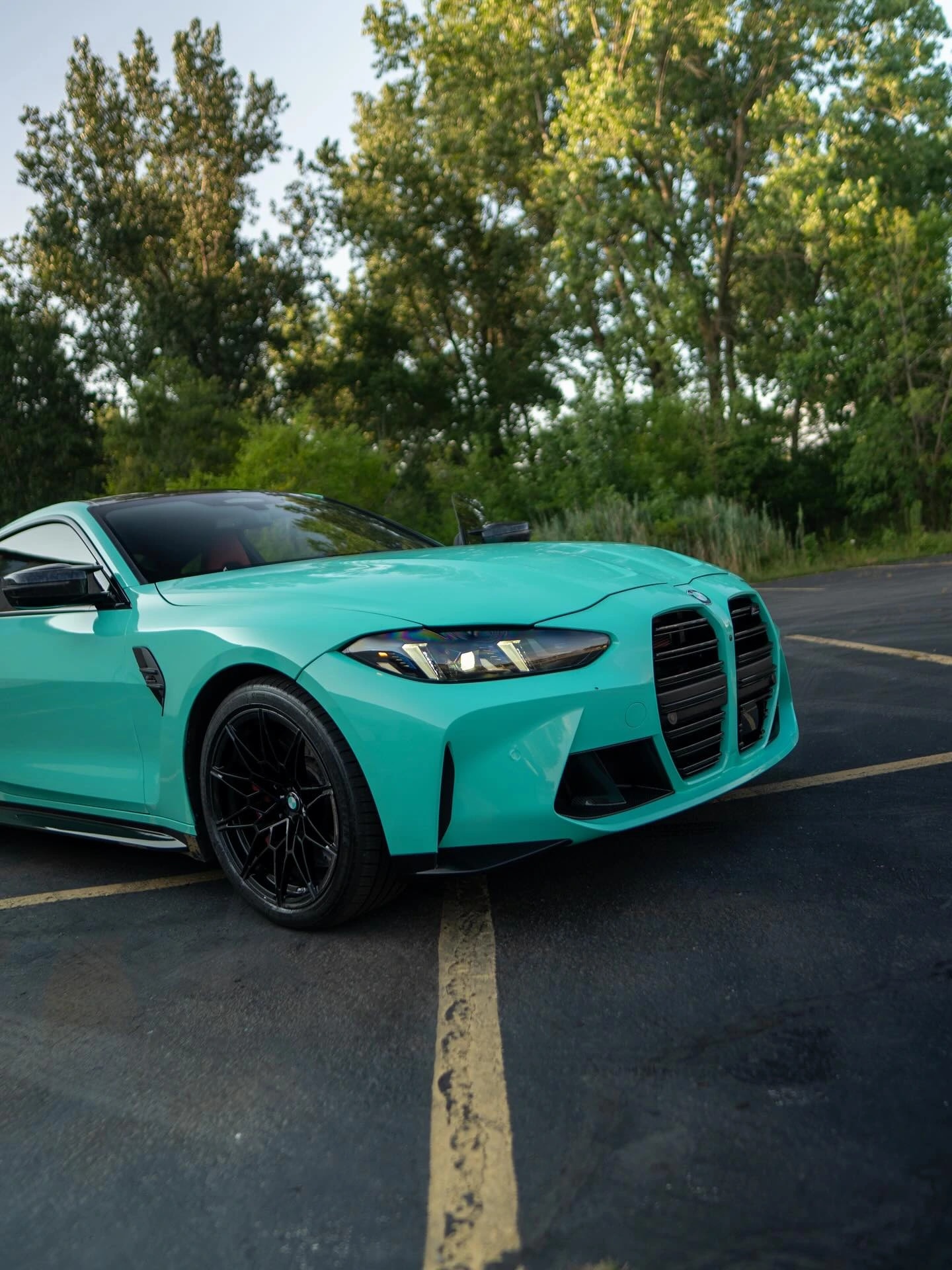 Vinyl Wraps