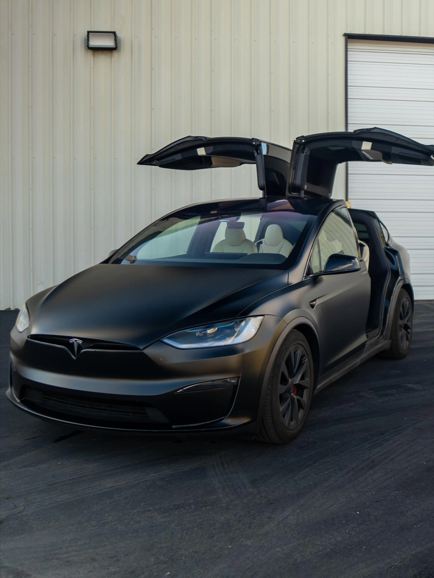 Vinyl Wraps - image 2