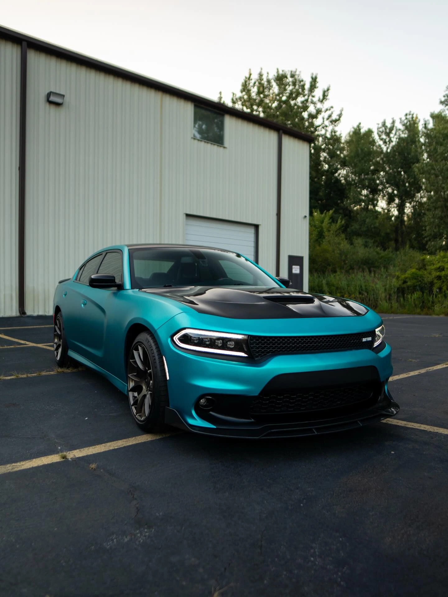Vinyl Wraps - image 5