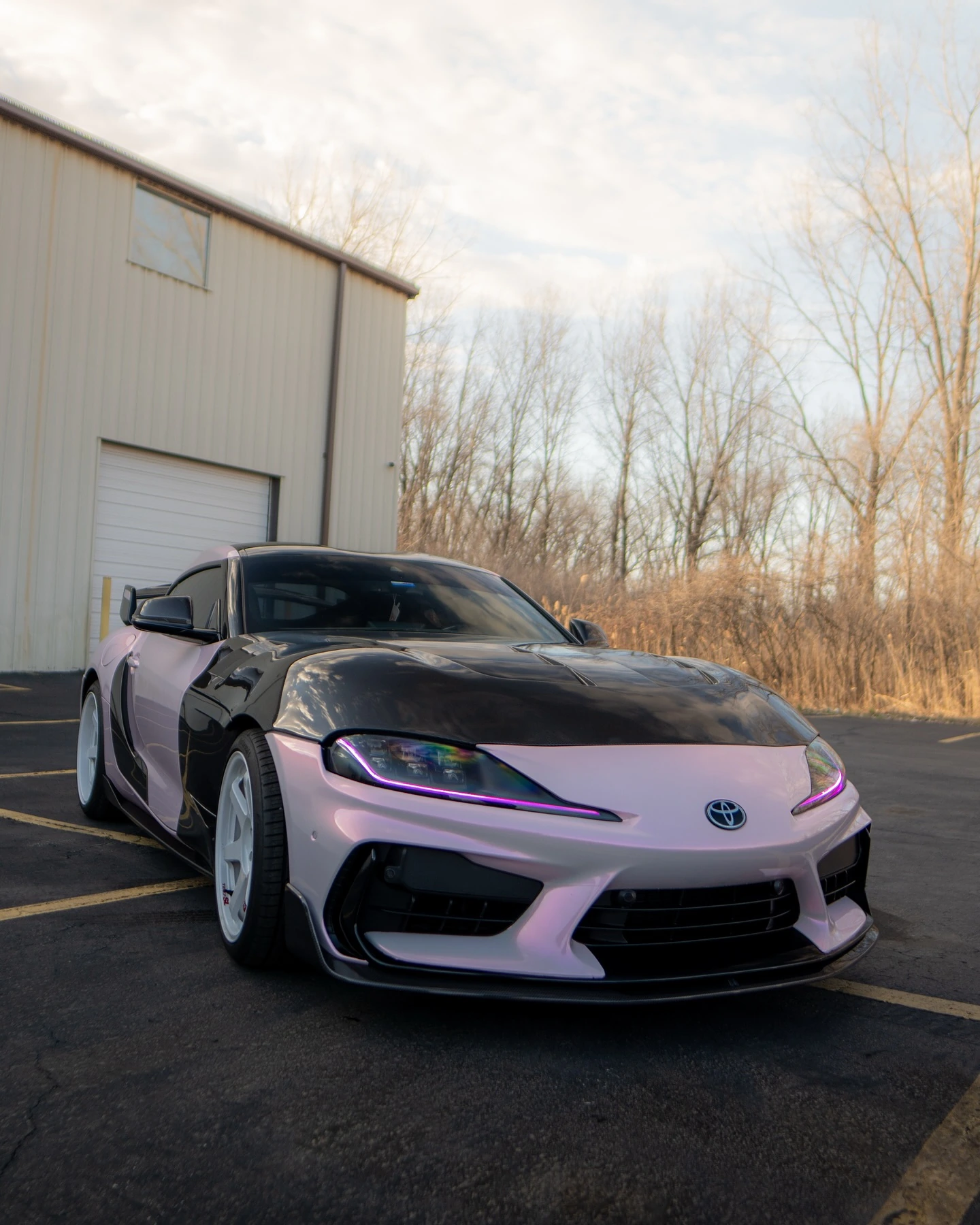 Vinyl Wraps - image 16