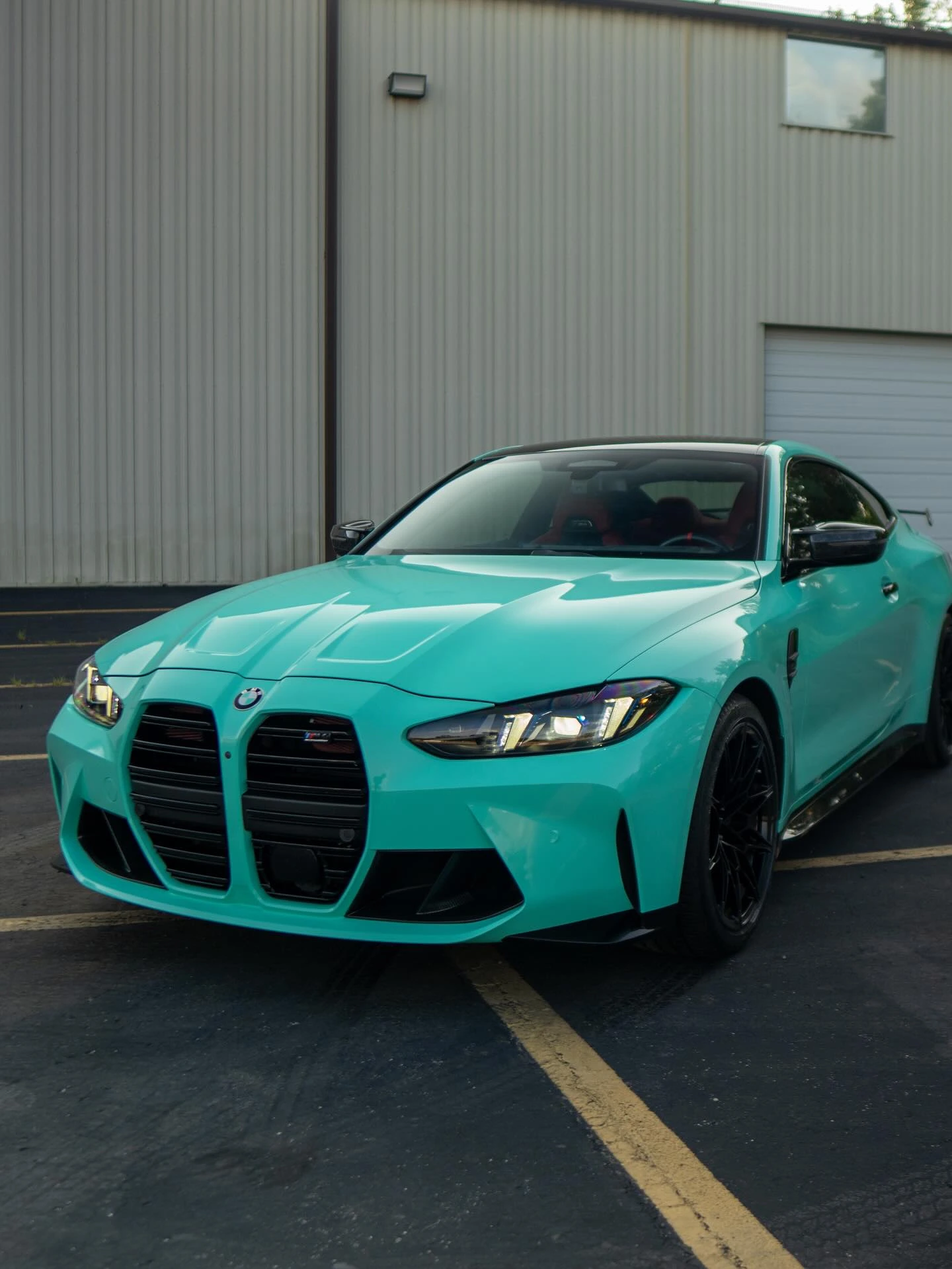 Vinyl Wraps - image 7